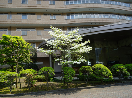 楽寿の風景06