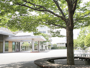 コミュニティガーデン（けやきの広場）