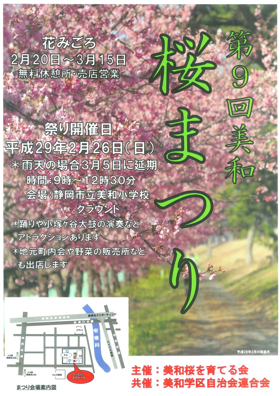 dai9kaimiwasakura