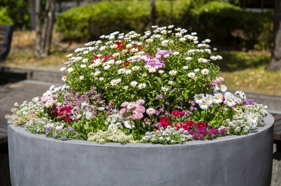 花