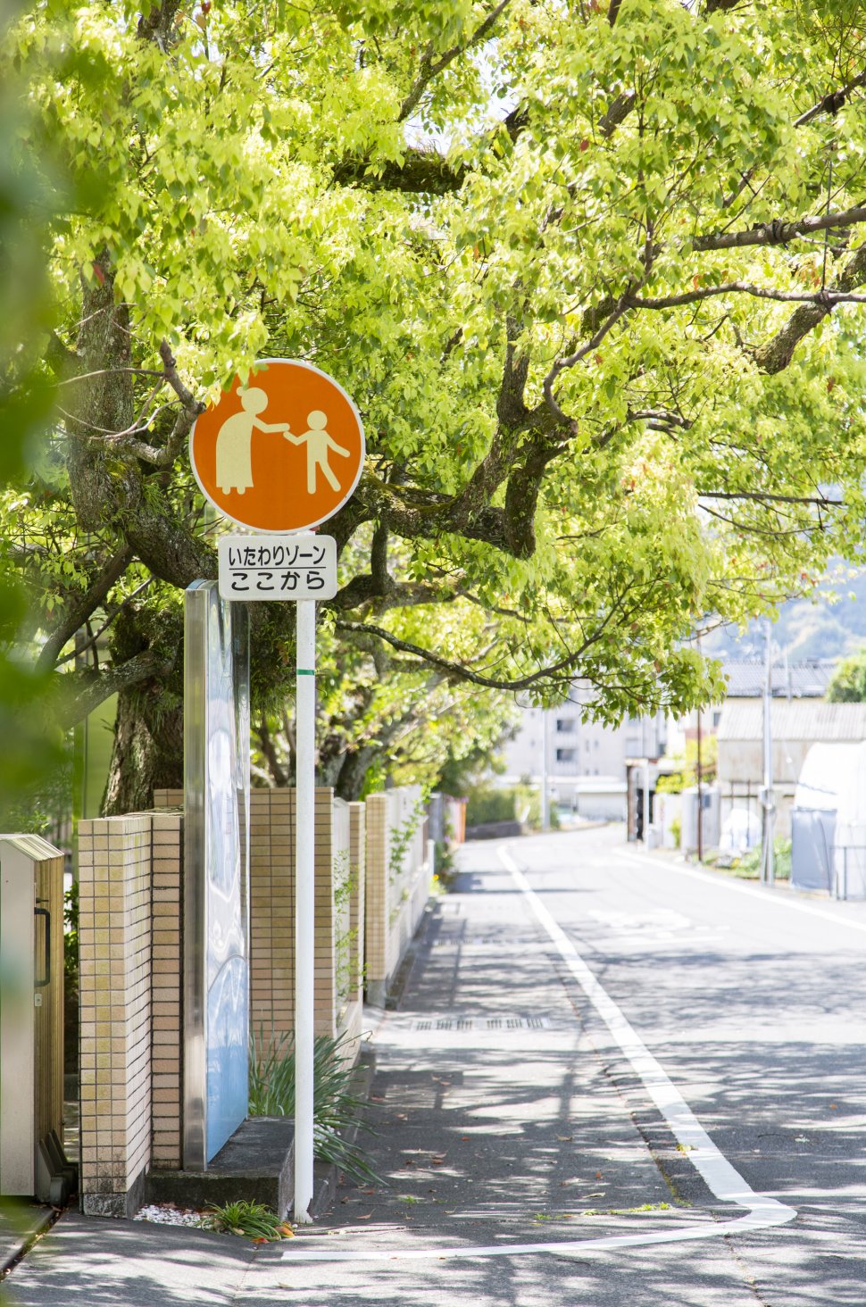 いたわりゾーン